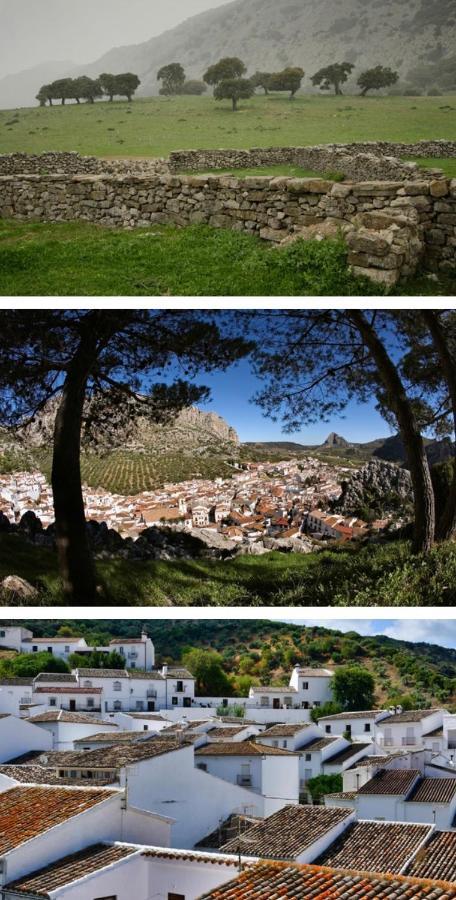 Hotel Rural Palacete De Manara Montejaque Kültér fotó